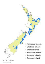 Veronica anagallis-aquatica distribution map based on databased records at AK, CHR & WELT.
 Image: K.Boardman © Landcare Research 2022 CC-BY 4.0